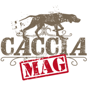 CacciaMAG