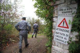 GERMOGLI PH: 2 OTTOBRE 2012 SESTO FIORENTINO MONTE MORELLO CEPPETO RUBRICA UNA GIORNATA CON IL CORPO FORESTALE DELLO STATO NELLA FOTO CONTROLLI BATTUTA DI CACCIA AL GINGHIALE LIBRETTO VENATORIO