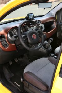 Panda Cross