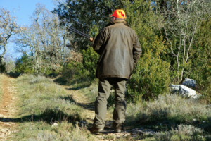 Caccia in Toscana, diffidata la giunta regionale per l'apertura anticipata