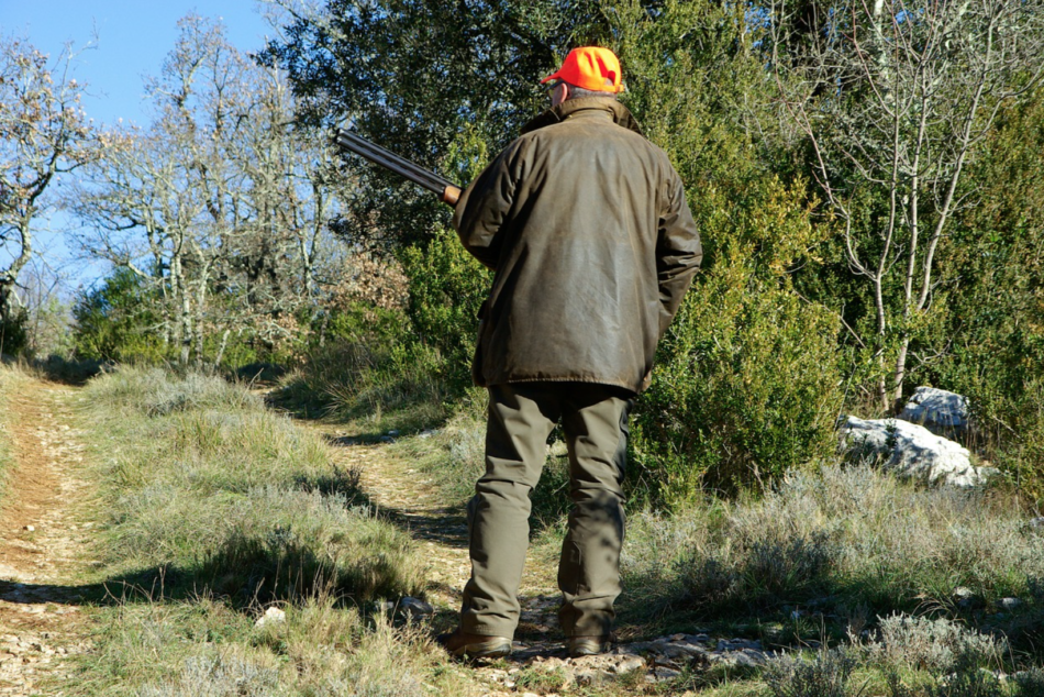 Caccia in Toscana, diffidata la giunta regionale per l'apertura anticipata