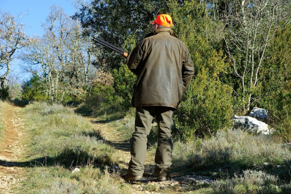 Caccia di selezione in Toscana. Se ne parla a Ponsacco