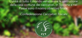 cct nuovo sito