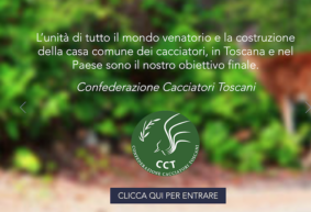 cct nuovo sito